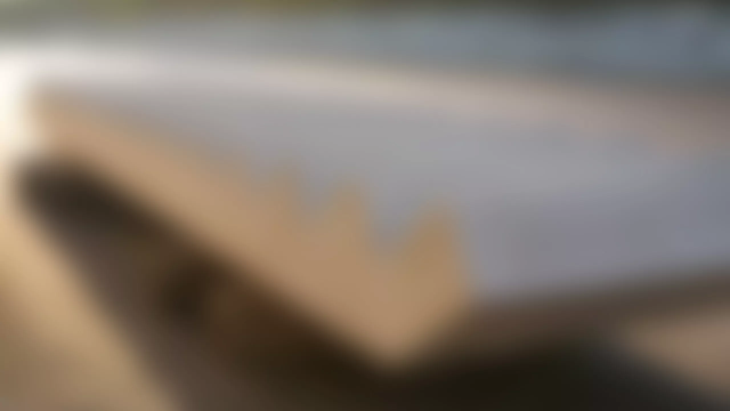 Doppelwand | Zweischalige Betonwände mit Ortbetonkern | Menzel